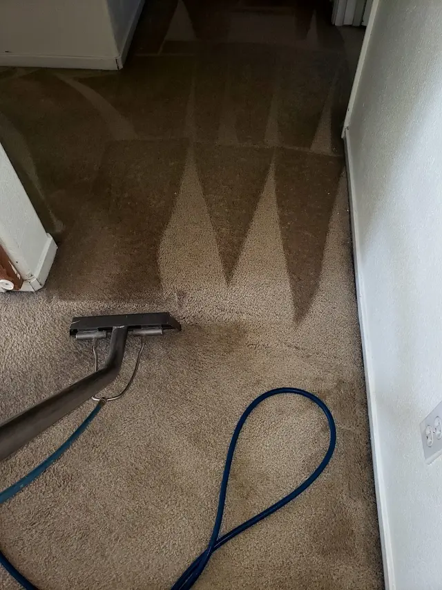 Rm cleaning services — photo from the business 6