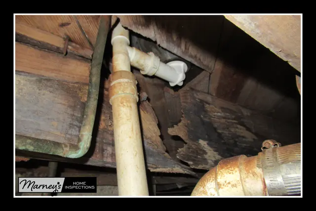 Marney's Home Inspections — photo from the business 9