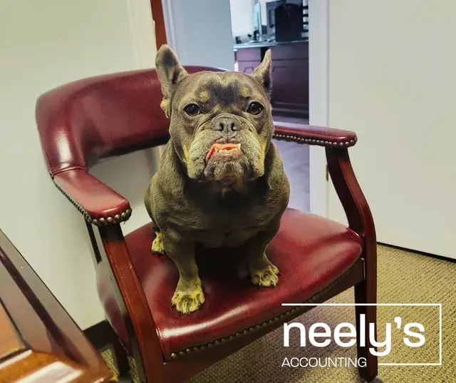Neely's Accounting Services — photo from the business 9