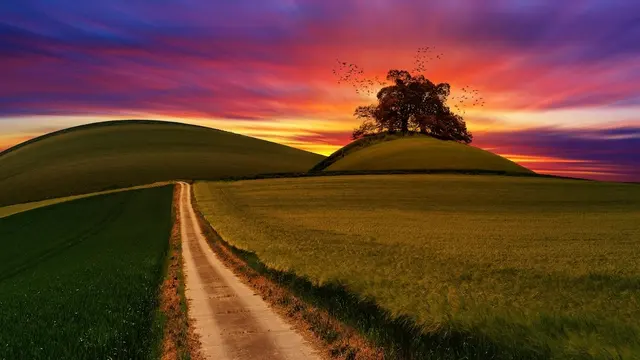 Good Seeds Life Coaching — photo from the business 10
