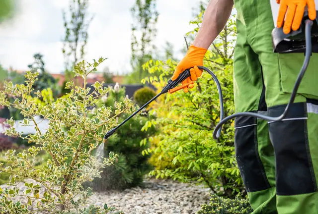 Royal Pest Service Inc — photo from the business 10