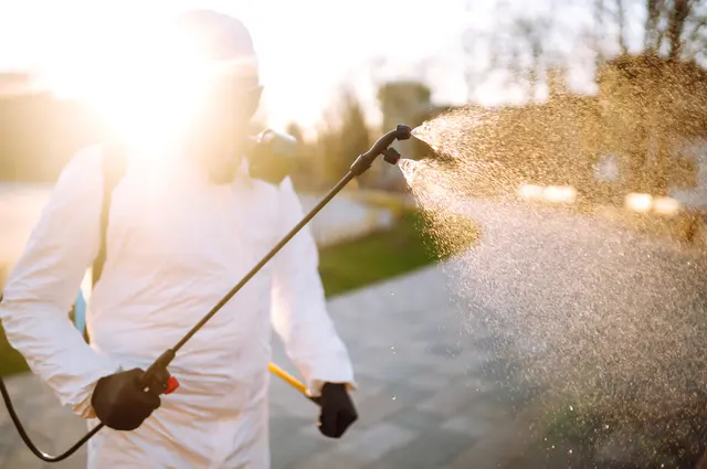 Royal Pest Service Inc — photo from the business 12
