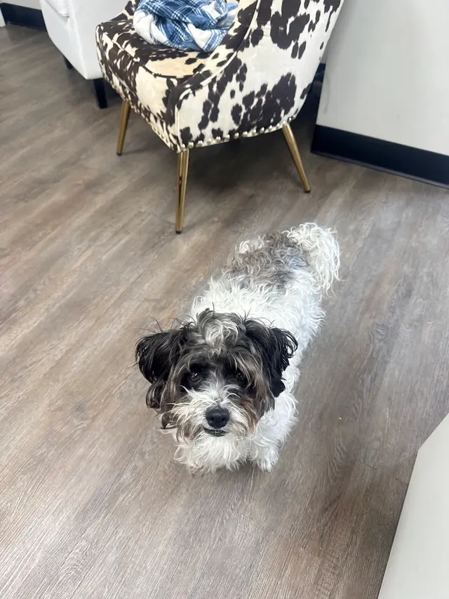 Critter Clinic — customer photo 7