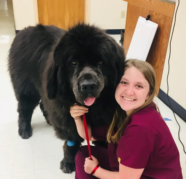 Critter Clinic — photo from the business 4