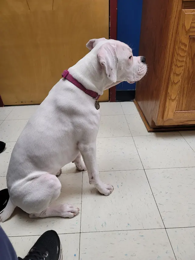 Critter Clinic — customer photo 9