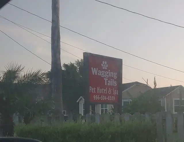 Wagging Tails Pet Store — customer photo 4