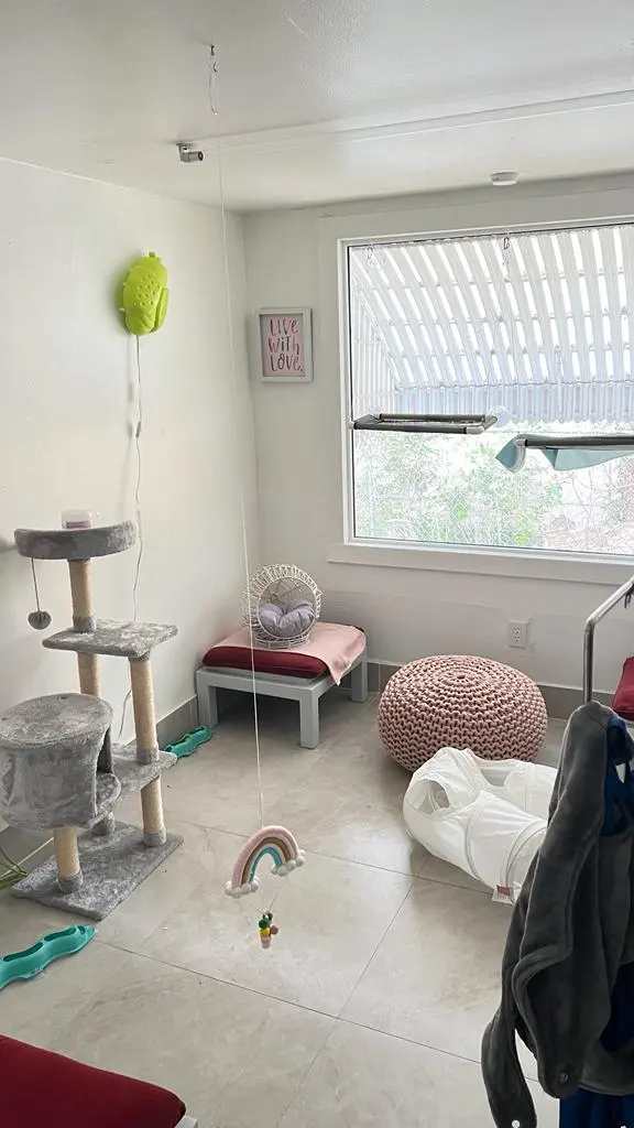 FOUR PAWS PET HOTEL BOUTIQUE & SPA — customer photo 8