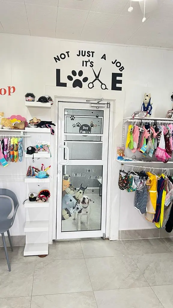 FOUR PAWS PET HOTEL BOUTIQUE & SPA — photo from the business 2