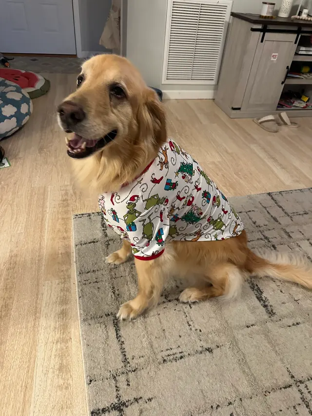 Sumner Springs Veterinary Clinic — customer photo 6