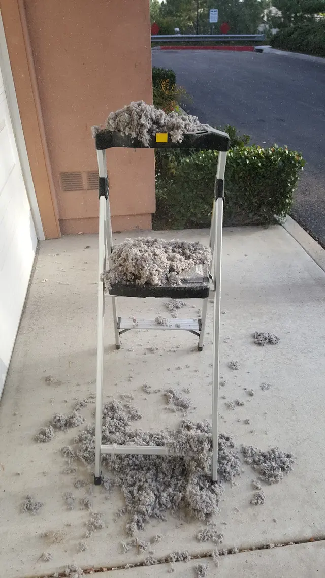 Fresh Air San Diego — photo from the business 11