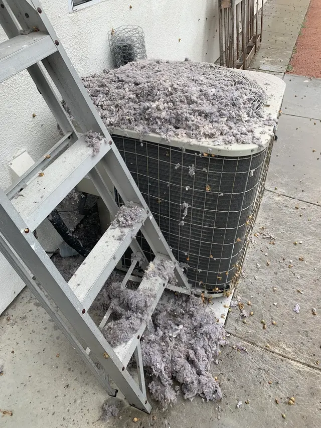 Nick's Dryer Vent Cleaning Inc — photo from the business 9