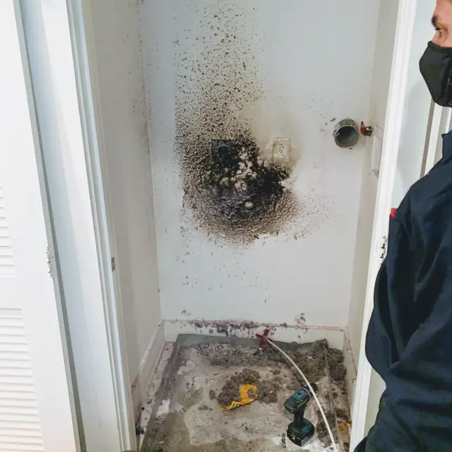 Nick's Dryer Vent Cleaning Inc — photo from the business 2