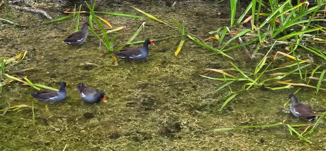 Long Key Natural Area & Nature Center — customer photo 9