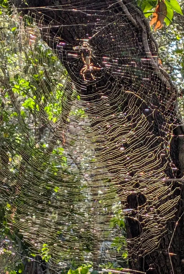 Long Key Natural Area & Nature Center — customer photo 8