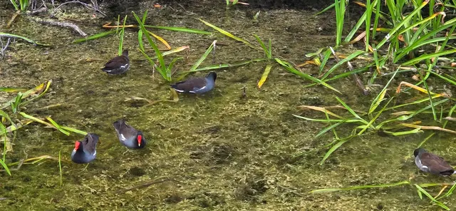 Long Key Natural Area & Nature Center — customer photo 10