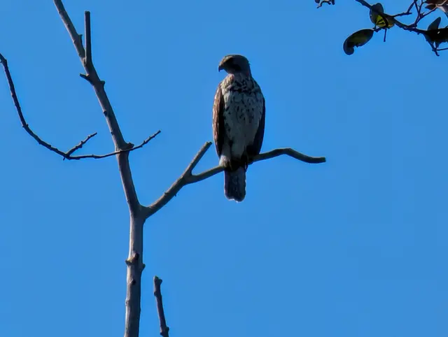 Long Key Natural Area & Nature Center — customer photo 7