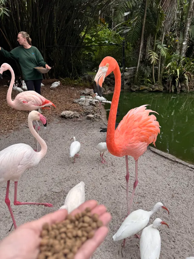 Customer photo of work by Flamingo Gardens, from Staci L's review