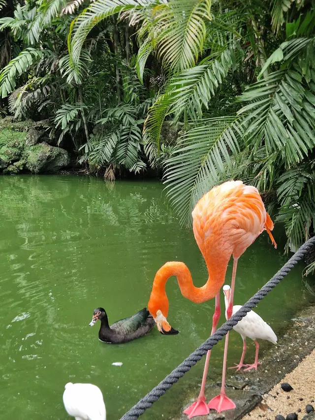 Customer photo of work by Flamingo Gardens, from Carolina D B's review