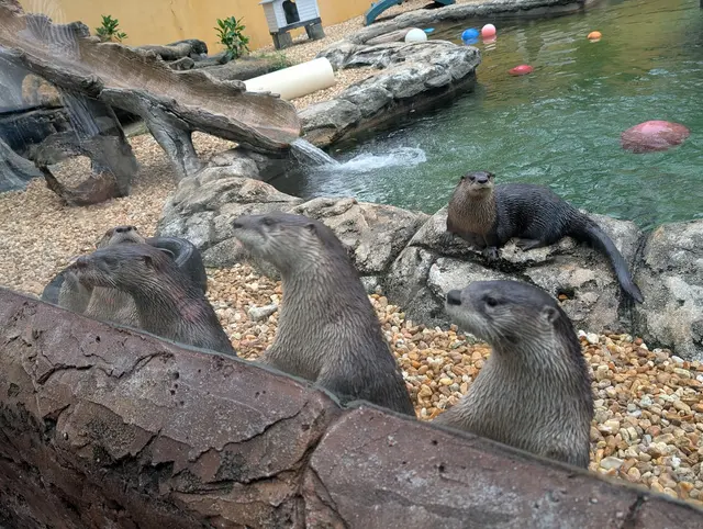 Flamingo Gardens — customer photo 5