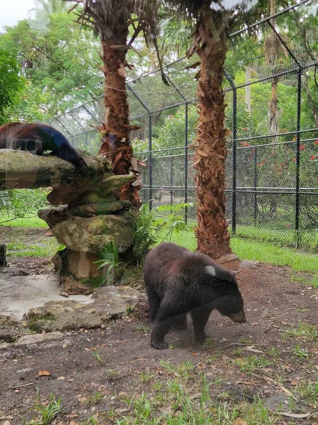 Customer photo of work by Flamingo Gardens, from Carolina D B's review
