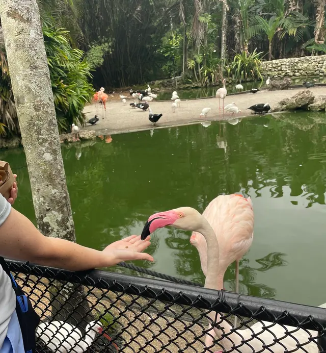 Customer photo of work by Flamingo Gardens, from Mark F's review