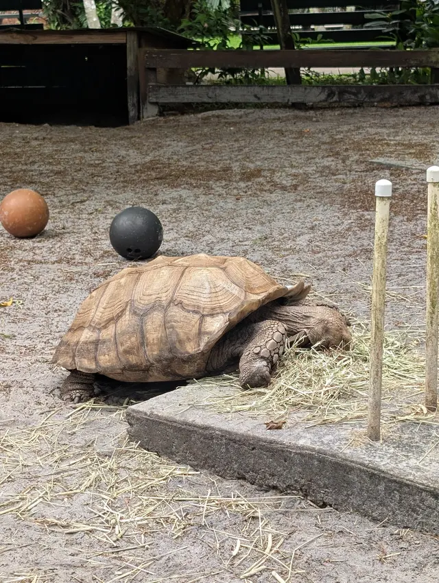 Flamingo Gardens — customer photo 2