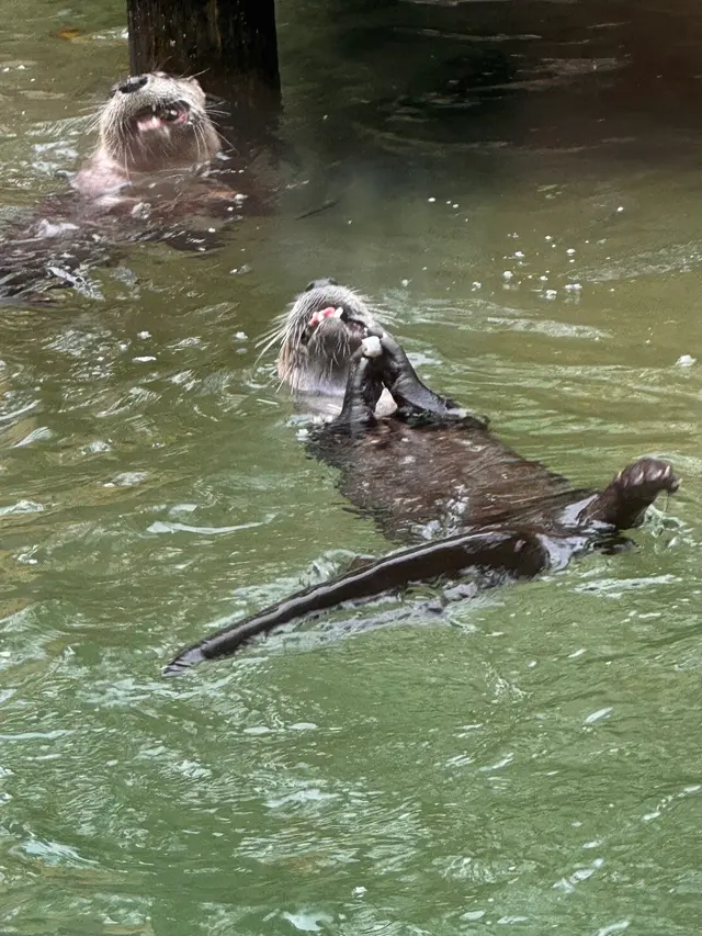 Flamingo Gardens — customer photo 12