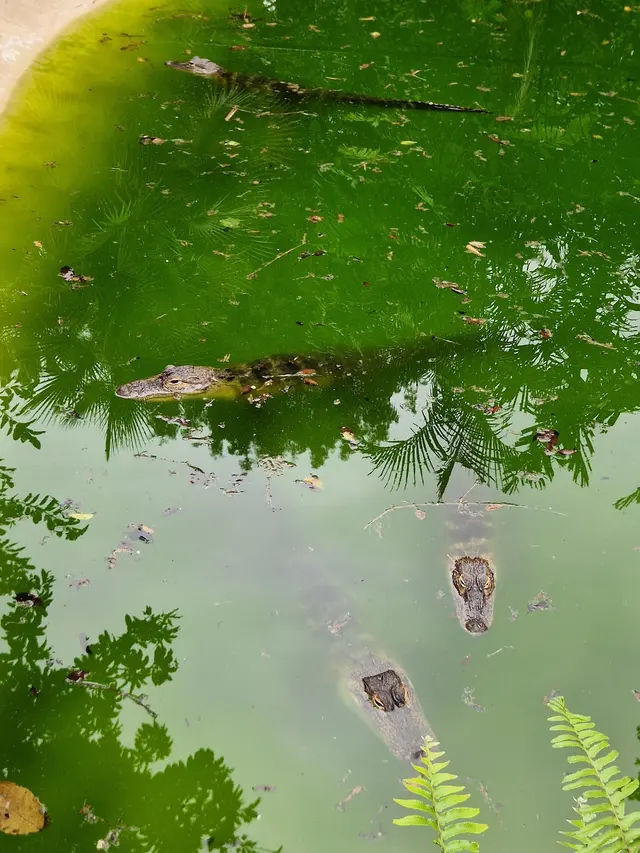 Customer photo of work by Flamingo Gardens, from Carolina D B's review
