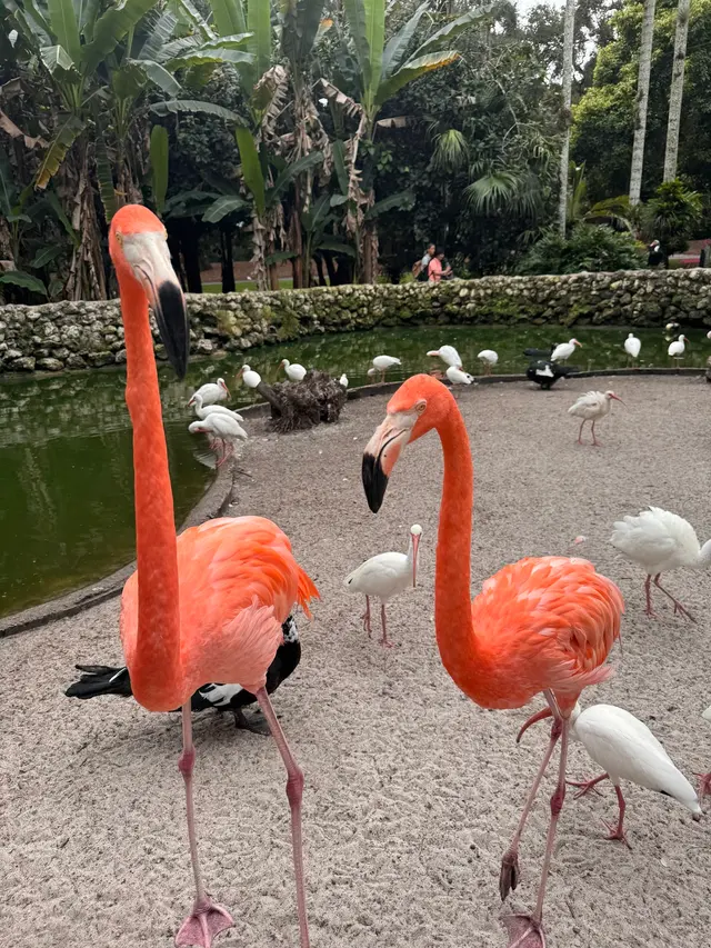 Customer photo of work by Flamingo Gardens, from Staci L's review