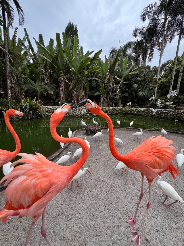 Customer photo of work by Flamingo Gardens, from Staci L's review