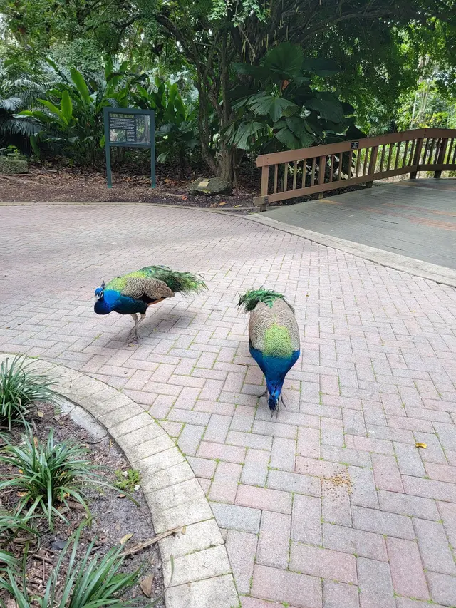 Customer photo of work by Flamingo Gardens, from Julie Swain's review