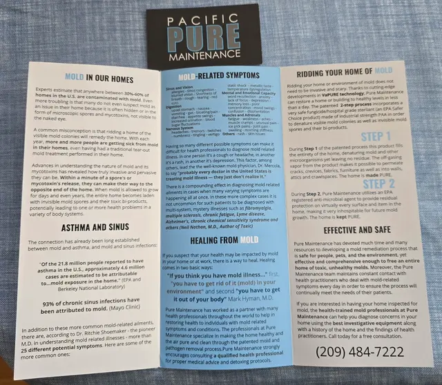 Customer photo of work by Pacific PURE Maintenance, MOLD Remediation, from Lemmie Klein's review