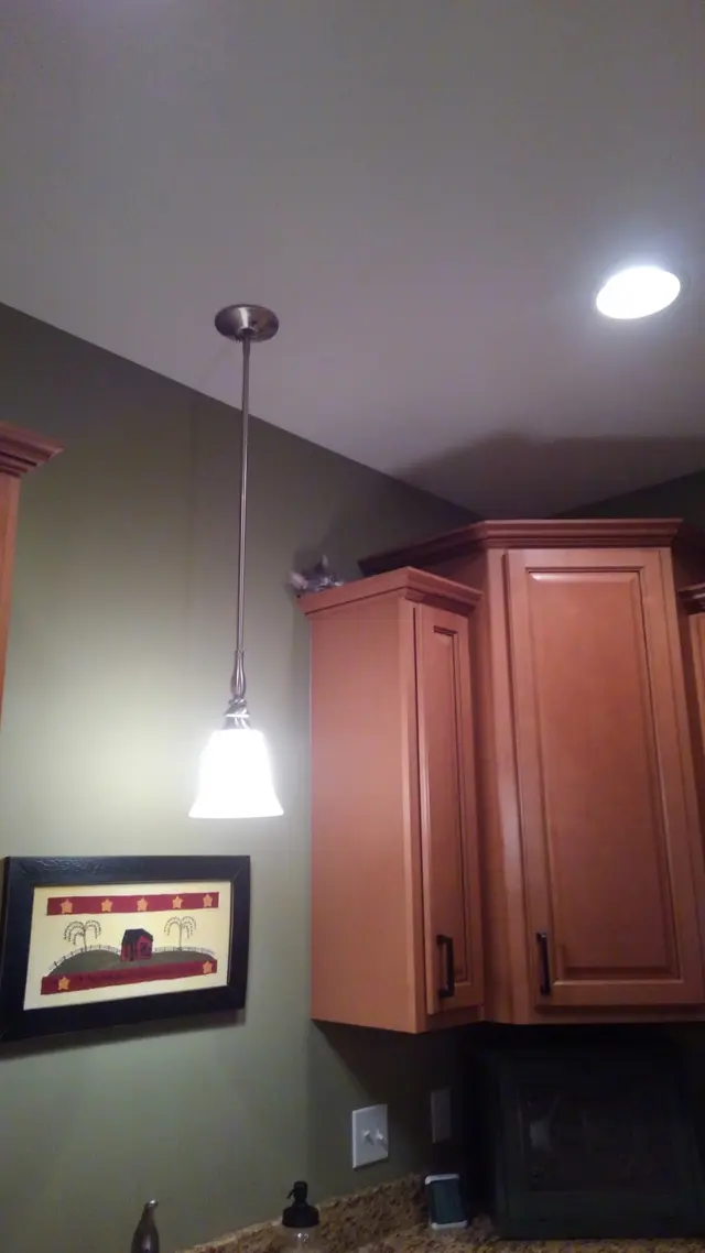 Customer photo of work by Paws and Prayers, from TAZ CAT's review