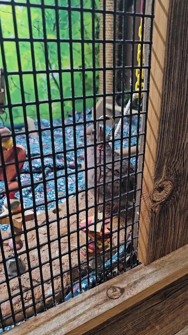 Wildlife Conservation Center — customer photo 8