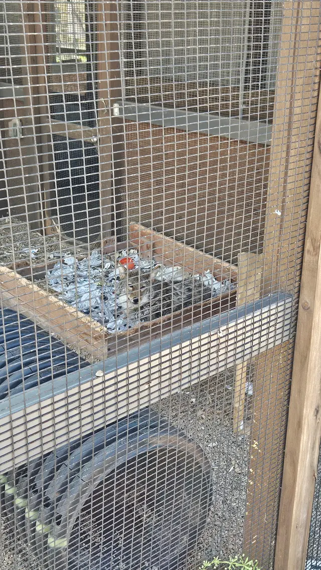 Wildlife Conservation Center — customer photo 12