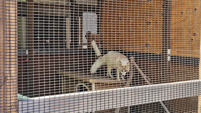 Wildlife Conservation Center — customer photo 10