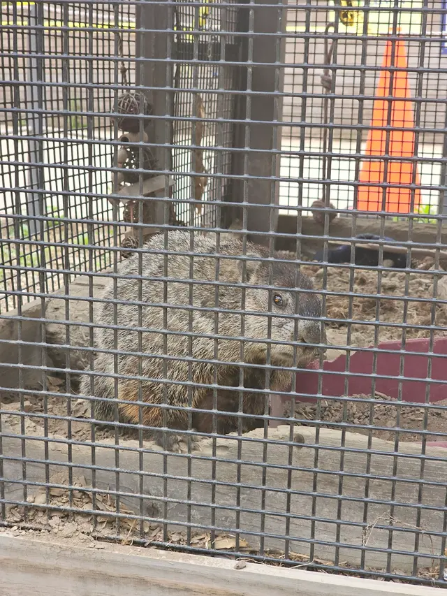 Wildlife Conservation Center — customer photo 9