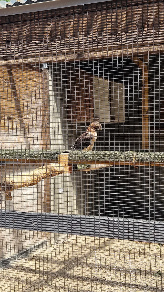 Wildlife Conservation Center — customer photo 11