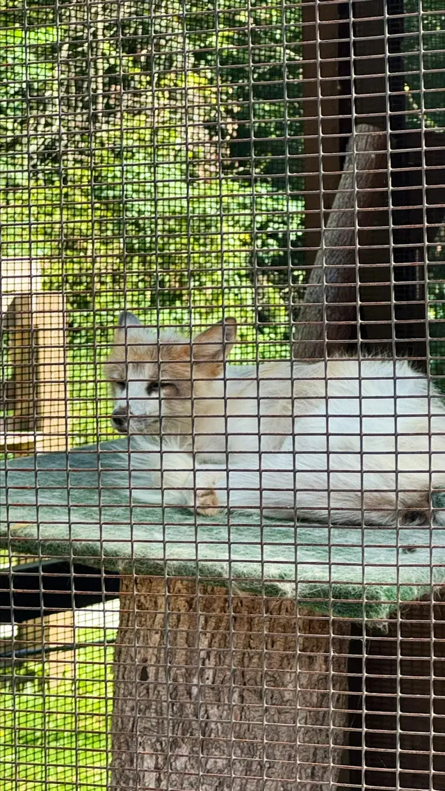 Wildlife Conservation Center — customer photo 7