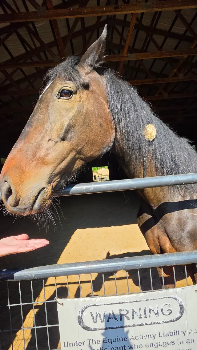 Happy Trails Farm Animal Sanctuary, Inc. — customer photo 1