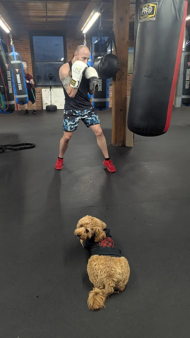 Brick by Brick Training Systems — customer photo 4