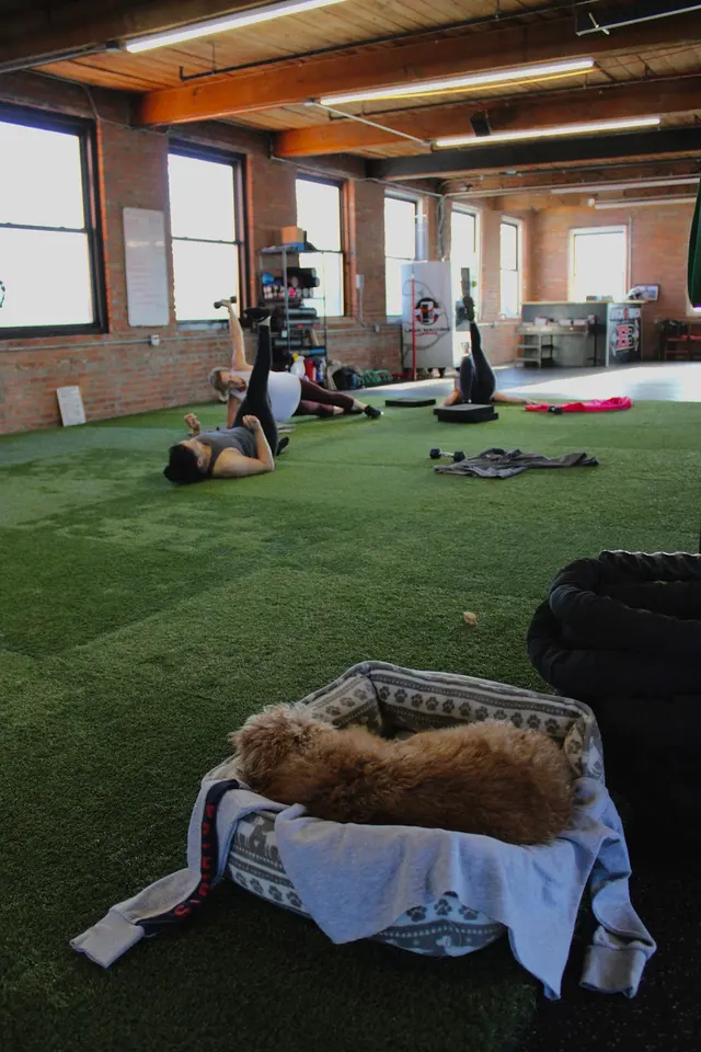 Brick by Brick Training Systems — photo from the business 11