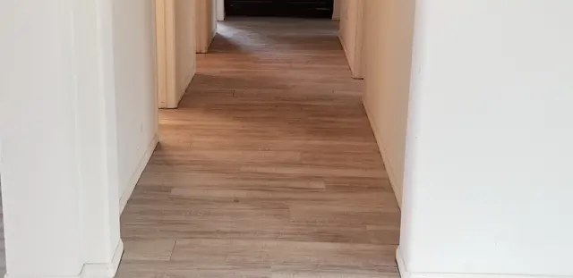 Kosciusko Carpet Care — customer photo 3