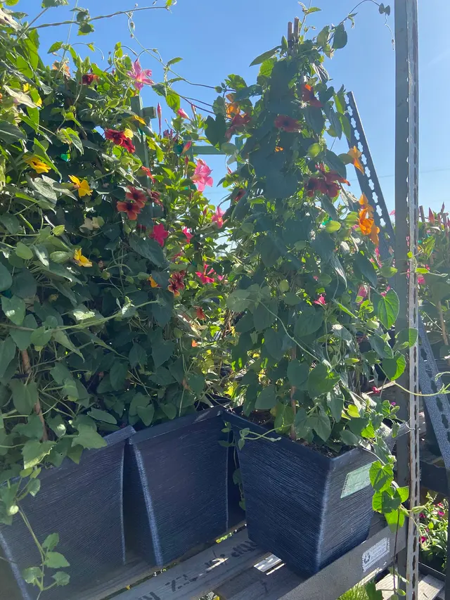 Atwoods — customer photo 8