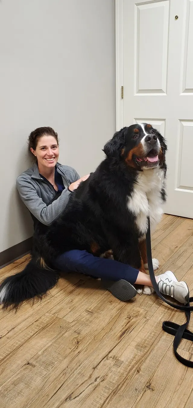 Animal Hospital at West Ridge — customer photo 9
