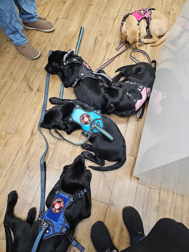 Animal Hospital at West Ridge — customer photo 8