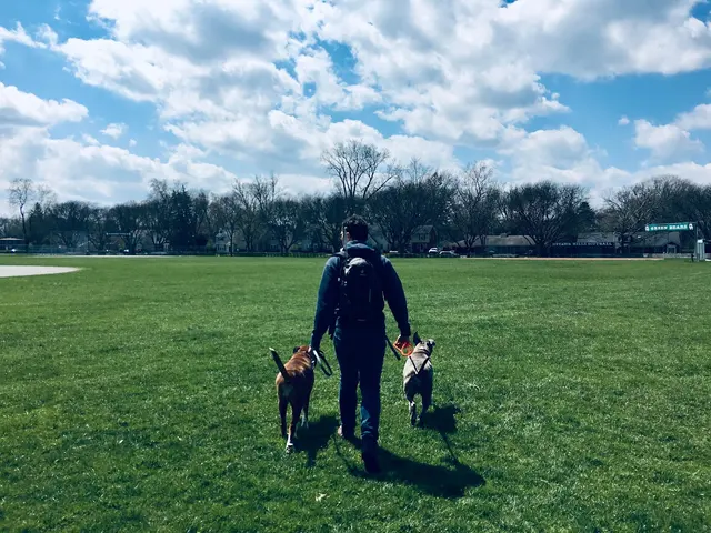 Ready, Set…Train! — photo from the business 4