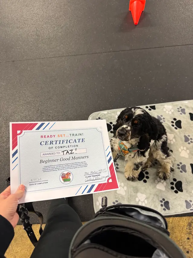 Customer photo of work by Ready, Set…Train!, from Kassidy LouAnn's review