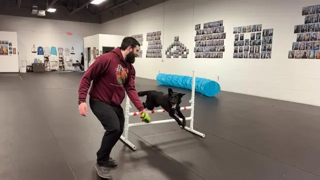 Ready, Set…Train! — photo from the business 1