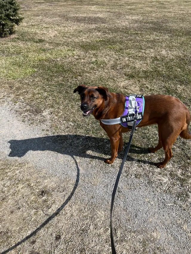 Ready, Set…Train! — customer photo 8